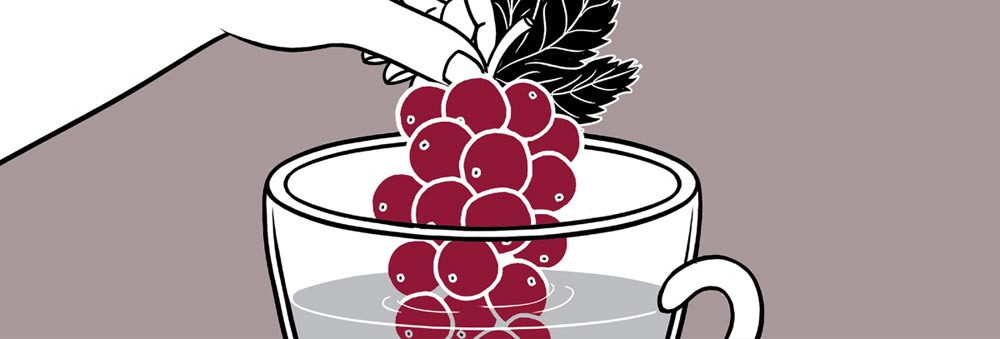 Organic Berry Berry 931